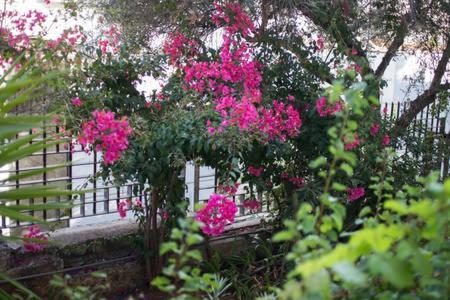 Glyfada Riviera Home Атина Екстериор снимка