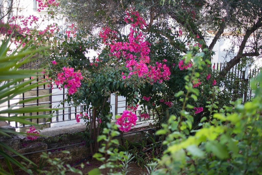 Glyfada Riviera Home Атина Екстериор снимка